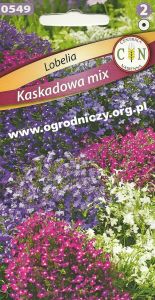 Lobelia Kaskadowa mix